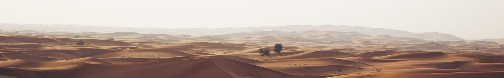 ɹŷƾĤṹ޹˾